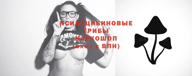 гашиш Белокуриха