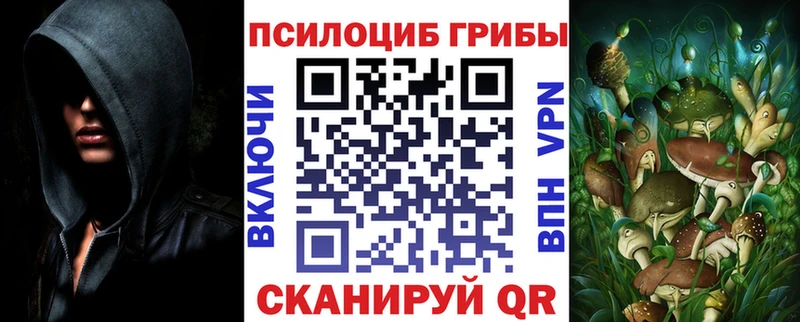 Псилоцибиновые грибы мицелий  что такое наркотик  Салаир 